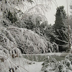 2012-02-01.jpg