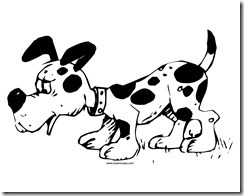 Cachorro 14