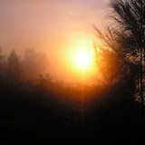 Sunrise on Batukaru summit (Daniel Quinn, October 2010)
