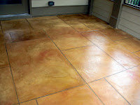 Chamos with a splash of Terra Cotta, TL Brown wash