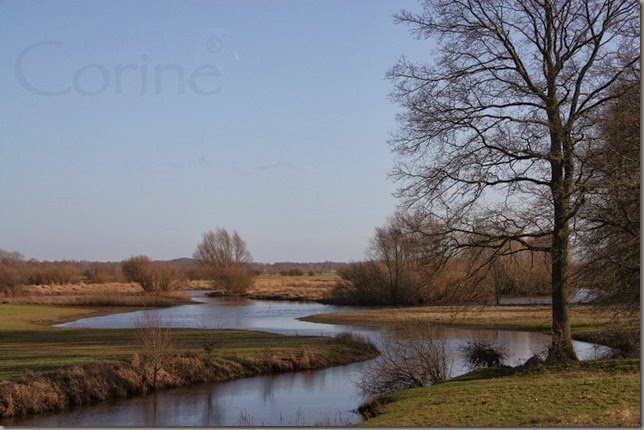 meander meander