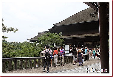 IMG_4974 IMG_4974