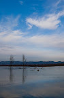 Cool cloud vertical.jpg