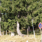 20091031 Allgaeu 0090 [640x480].JPG