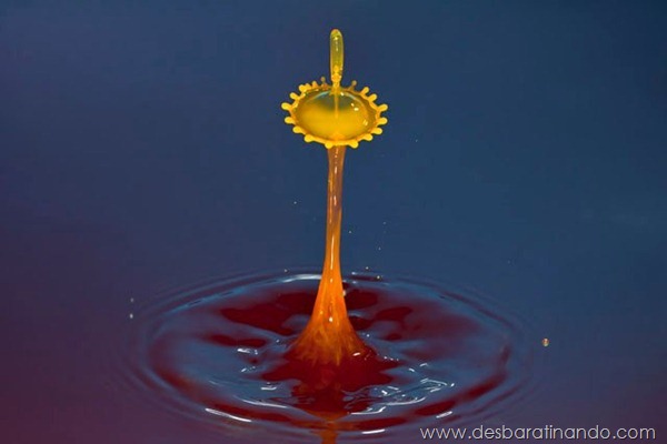 liquid-drop-art-gotas-caindo-foto-velocidade-hora-certa-desbaratinando (72)