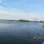 IMG_7987.JPG