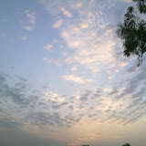 110620101498.jpg