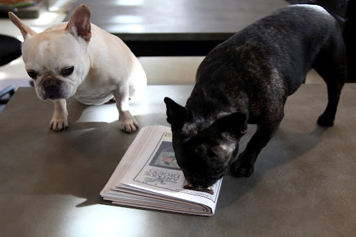 What are you reading, Francesca?