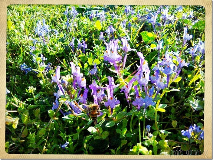 Foto 7 Foto 7