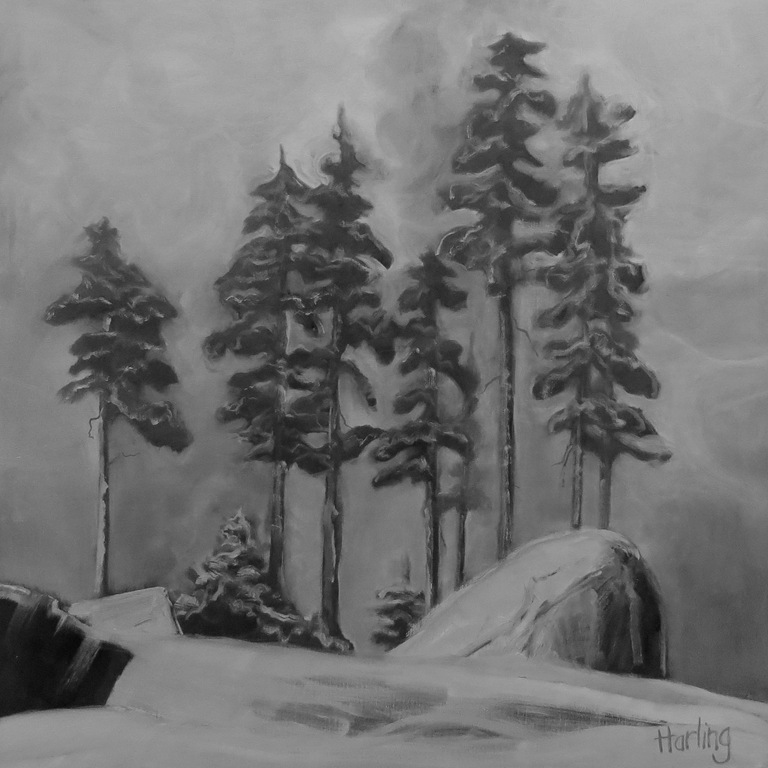 [Snow-Trees--Donner-Summit-36x36-Crys.jpg]