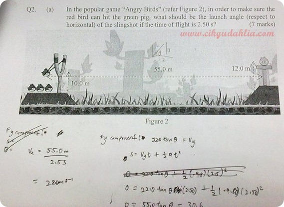 angry bird
