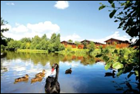 Relax in the Delightful Lodge Park Surroundings