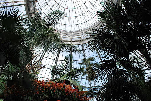 The dome of the conservatory.
