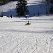 wild08No11.jpg