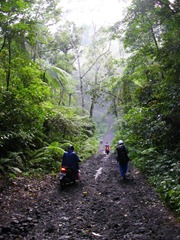 Ijen, road