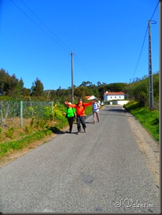 SAM_0205 SAM_0205