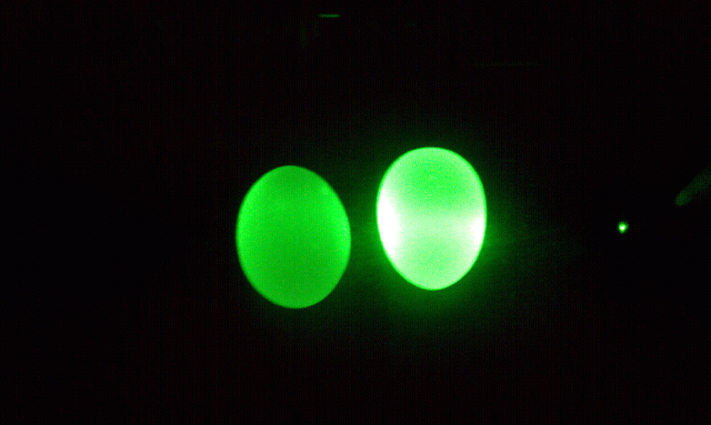 download the dark egg download the dark egg