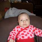 SAM_0578.JPG