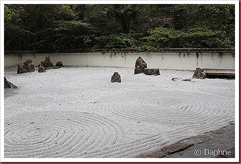 IMG_0383 IMG_0383