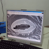 DSC01941.JPG