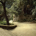 Camí de la Santa Cova, Montserrat