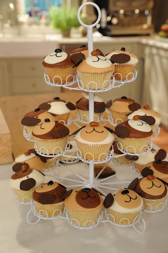 Kate from Cake Power made these adorable puppy cupcakes. Learn how to make them here http://thefamilyroom.marthastewart.com/2011/04/19/how-to-make-puppy-cupcakes
