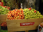 p1297959005(17).jpg