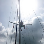 Der Affe steigt, es wird gute Wetter