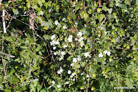 IMG_7943.JPG Photo