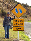 I am sure you can only find this road sign in NZ. Notice the penguin is in blue.