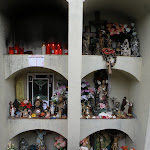 P1153670.JPG