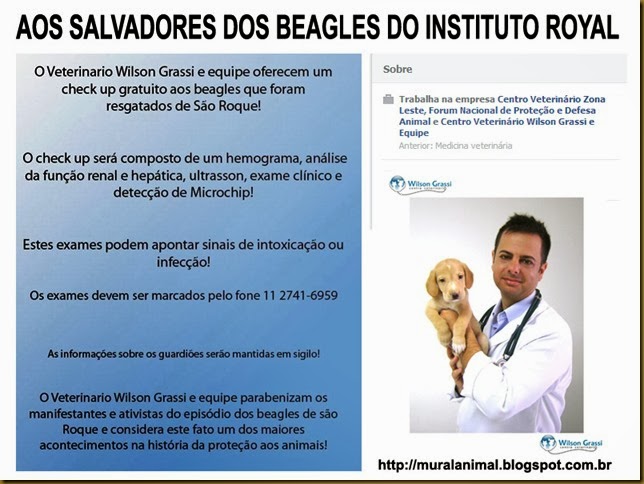 veterinario-beagles