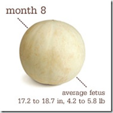 34 weeks