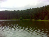 DSC04883.JPG Photo