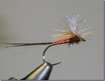 clip_image050 clip_image050