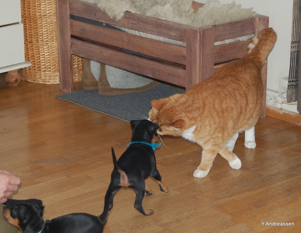 [DSC_6315%255B2%255D.jpg]