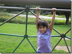 IMG_2279 IMG_2279