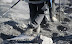 Mount_semeru_39.JPG