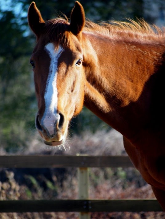 [14%2520Nov%25202%255B3%255D.jpg]