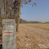 dsc06762.jpg