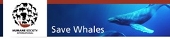 wjale