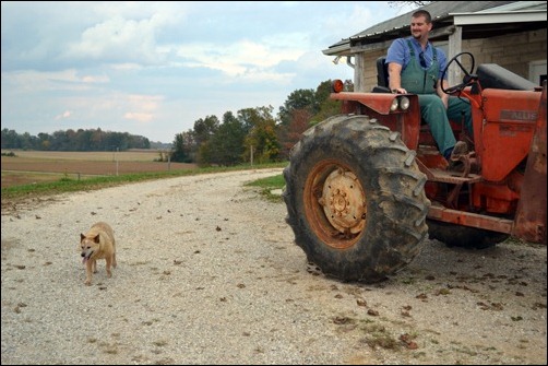 Kodi following the tractor Kodi following the tractor
