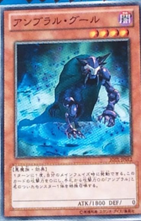 31 31