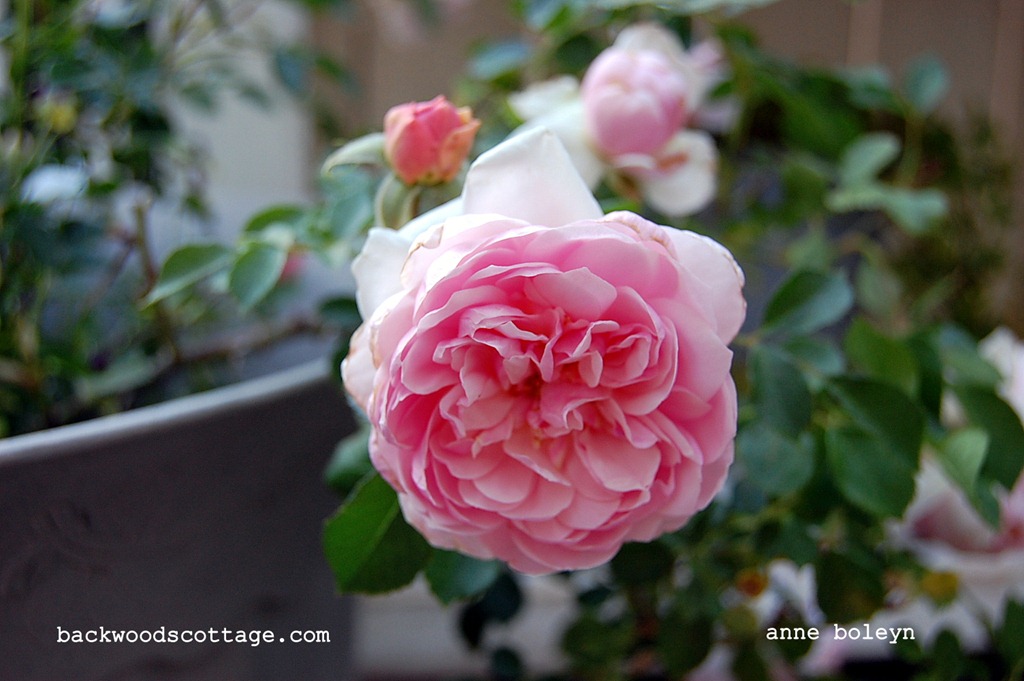 [DSC_0001%255B4%255D.jpg]