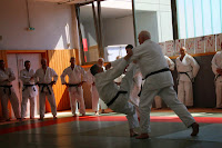 IMG_1767.jpg