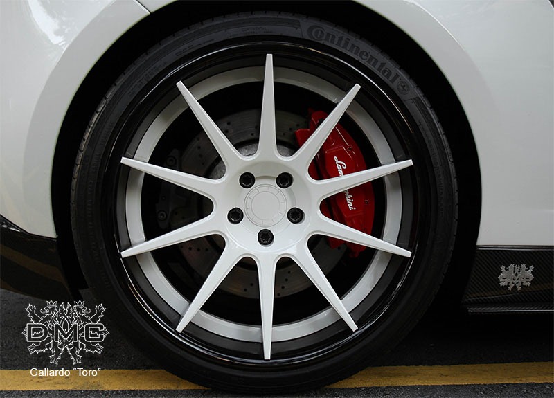 [DMC-Toro-Gallardo-10%255B3%255D.jpg]