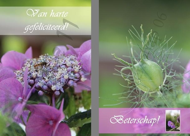 [Bloemencollage%255B7%255D.jpg]