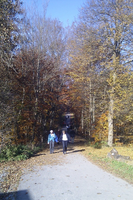 [IMAG0114%255B7%255D.jpg]