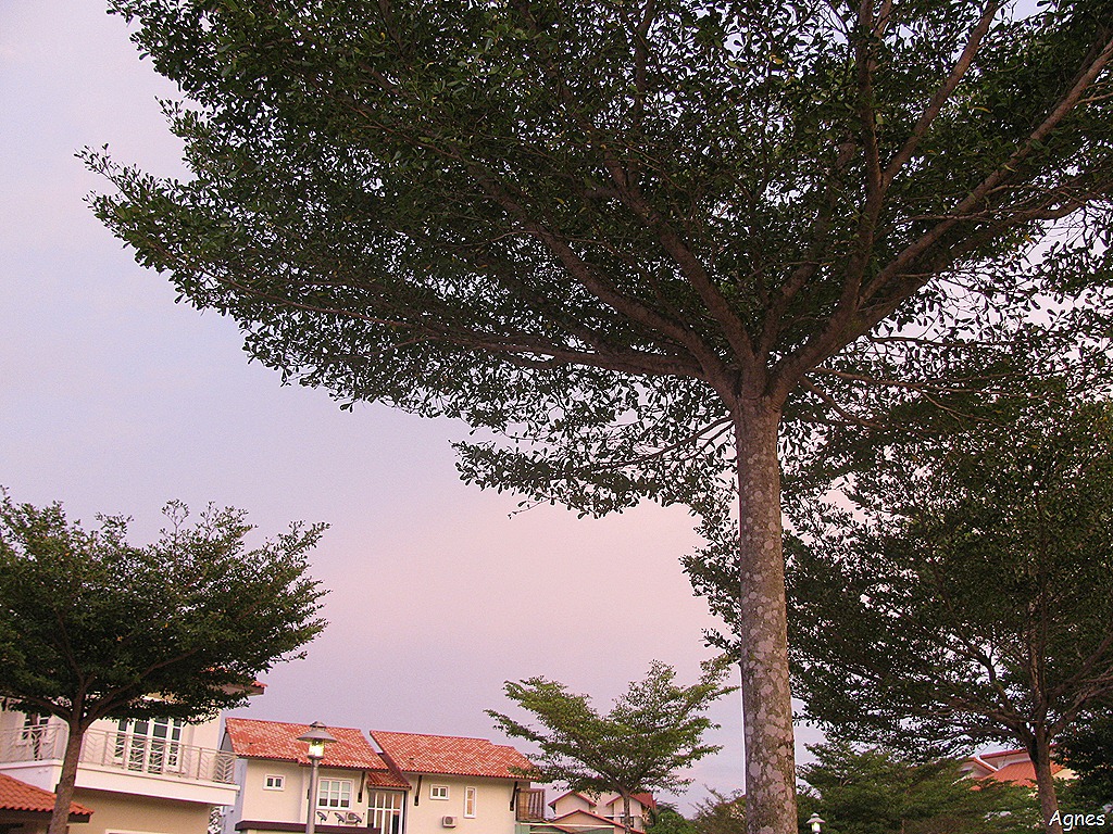[IMG_78798.jpg]