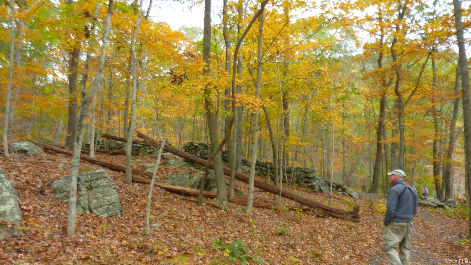 [Lantern-Hill-Hike_0774.jpg]